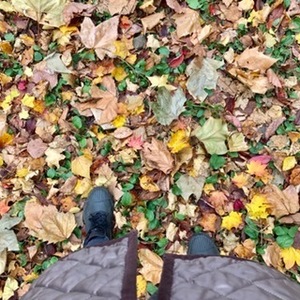 紅葉.jpg